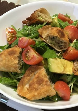 餃子とアボカドの中華風サラダ♪-レシピのメイン写真