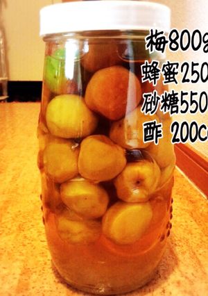 簡単♪大人の梅シロップ♪-レシピのメイン写真