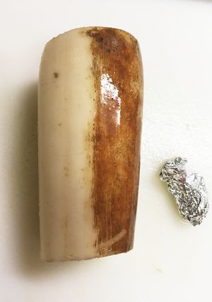 れんこんの皮むき-レシピのメイン写真