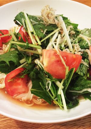 アレンジ素麺！ジャコと野菜のぶっかけ素麺-レシピのメイン写真