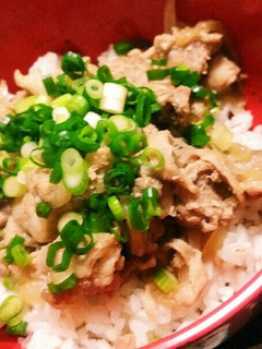 炊飯器で簡単♪豚丼-レシピのメイン写真