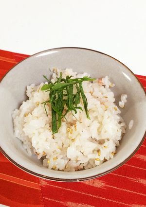 梅ごはん-レシピのメイン写真