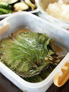 ご飯が進む!紫蘇のコチュジャン醤油漬け-レシピのメイン写真