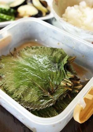 ご飯が進む!紫蘇のコチュジャン醤油漬け-レシピのメイン写真