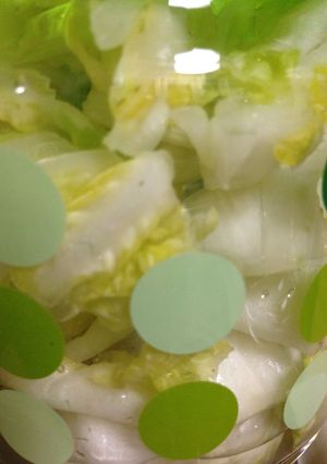 簡単＊白だしですぐ食べられる白菜の浅漬け-レシピのメイン写真