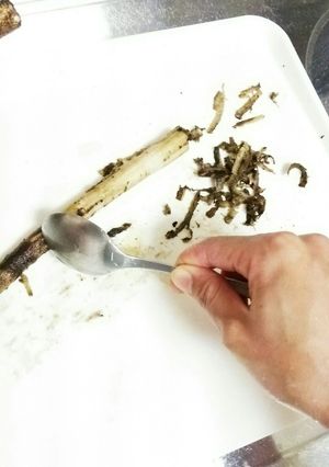 簡単！ゴボウの皮剥き スプーンで♪-レシピのメイン写真