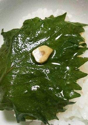 ご飯モリモリ!シソにんにく-レシピのメイン写真