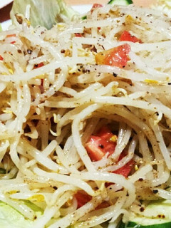 モヤシとトマトのイタリアンサラダ-レシピのメイン写真
