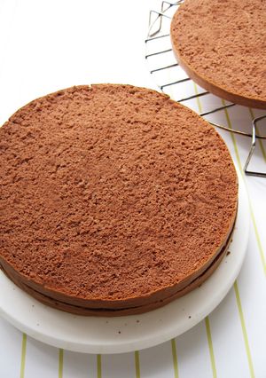 ◆しっとり・ふわふわ＊チョコスポンジ◆-レシピのメイン写真