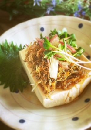 簡単☆ちりめんじゃこのごま油かけ冷や奴-レシピのメイン写真
