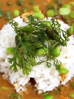 ちゃ豆とココナッツミルクのカレー-レシピのメイン写真
