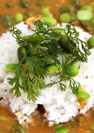 ちゃ豆とココナッツミルクのカレー-レシピのメイン写真