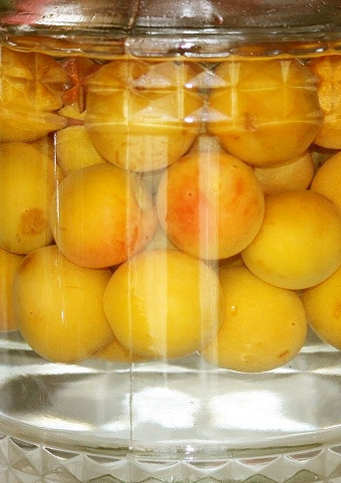 完熟梅の梅酒-レシピのメイン写真
