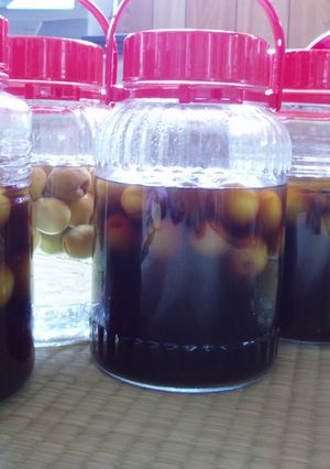 梅酒いろいろ泡盛黒糖日本酒芋焼酎-レシピのメイン写真
