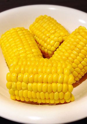 農家のおばあちゃんの美味しいトウモロコシ-レシピのメイン写真
