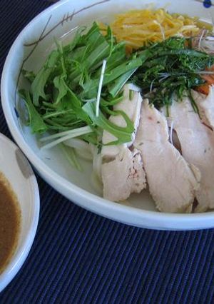 ゴマダレ中華味の冷やしうどん-レシピのメイン写真