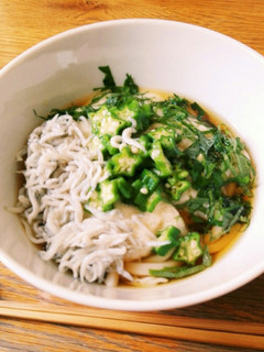 しらす入り!オクラと長芋のサラダうどん-レシピのメイン写真