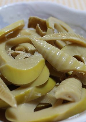 淡竹（ハチク）と油揚げの煮物-レシピのメイン写真