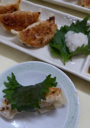 さっぱり夏タレで食べる焼き餃子-レシピのメイン写真