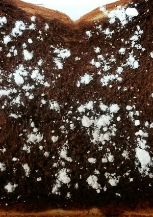 甘いチョコ風ココアトースト-レシピのメイン写真