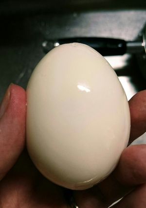 簡単☆産みたてでもツルッと向けるゆで卵-レシピのメイン写真
