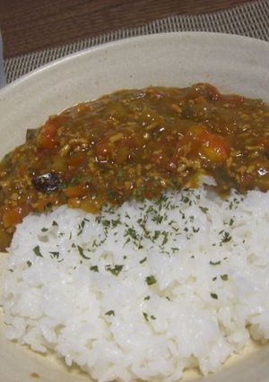 なすたっぷり！トマトでさっぱり☆夏カレー-レシピのメイン写真