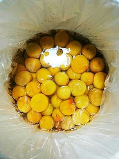 代々伝わる我が家の梅干し-レシピのメイン写真