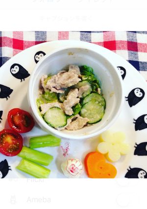 離乳食完了期から＊豚肉の冷しゃぶ風-レシピのメイン写真