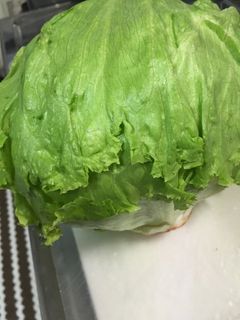 レタスの保存!-レシピのメイン写真