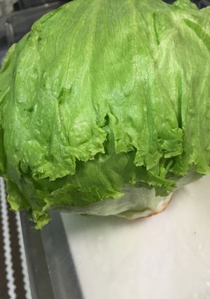 レタスの保存！-レシピのメイン写真