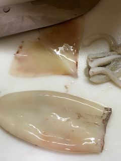 イカの下処理-レシピのメイン写真