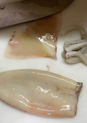 イカの下処理-レシピのメイン写真