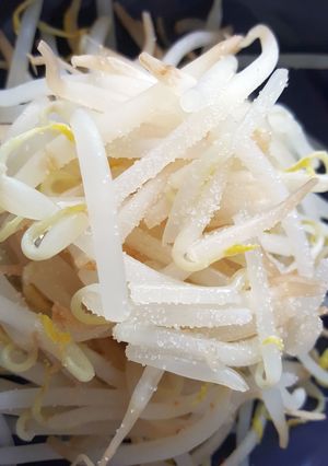 超簡単☆塩ゆでもやし醤油味-レシピのメイン写真
