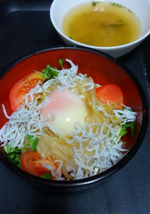 シャキシャキもやしの中華風しらす丼♪-レシピのメイン写真
