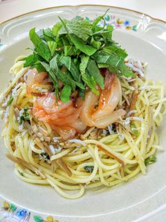 いか明太しらすパスタ-レシピのメイン写真