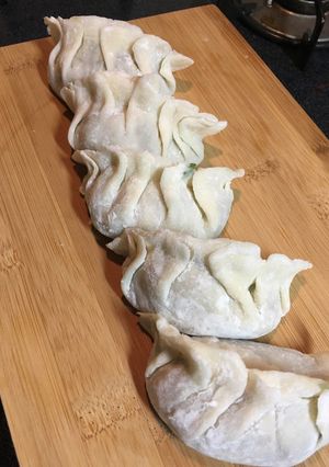 ちょっと大きめ5個分の餃子皮-レシピのメイン写真