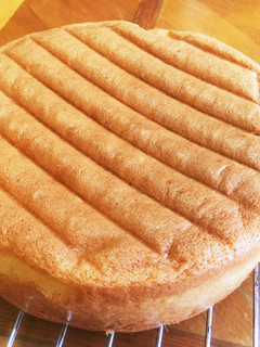 基本のスポンジケーキ-レシピのメイン写真