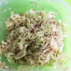 夏に使える薬味ダレ-レシピのメイン写真