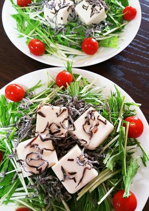 簡単すぎるっ✨水菜と豆腐のヘルシーサラダ-レシピのメイン写真