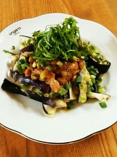 なすと納豆のあっさりあえ-レシピのメイン写真