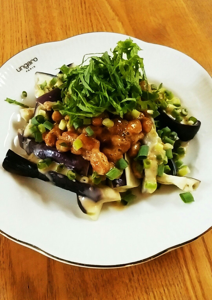なすと納豆のあっさりあえ-レシピのメイン写真