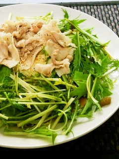 【簡単サラダ】豆腐と水菜の豚しゃぶサラダ-レシピのメイン写真