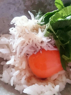 朝ご飯♪-レシピのメイン写真