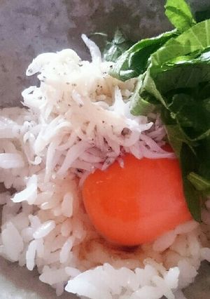 朝ご飯♪-レシピのメイン写真