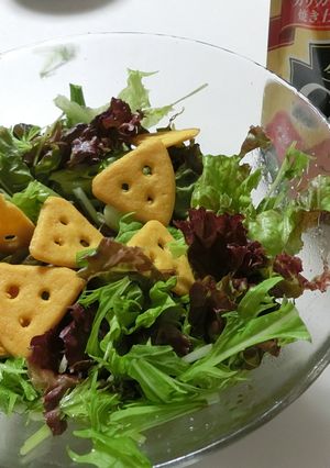 Ｃｈｅｅｚａで華やぐフレンチサラダ-レシピのメイン写真