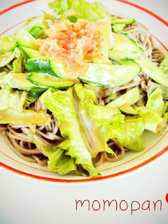 サラダ蕎麦 麺つゆなし-レシピのメイン写真