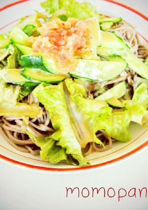 サラダ蕎麦 麺つゆなし-レシピのメイン写真