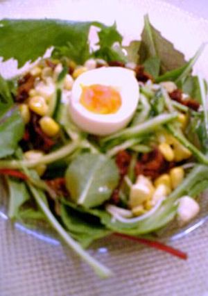 あっさりツル～っと♪素麺サラダ-レシピのメイン写真