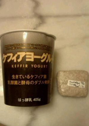 ケフィアヨーグルトからサワー種スターター-レシピのメイン写真