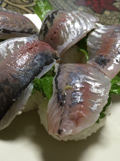 我が家の鯵寿司-レシピのメイン写真